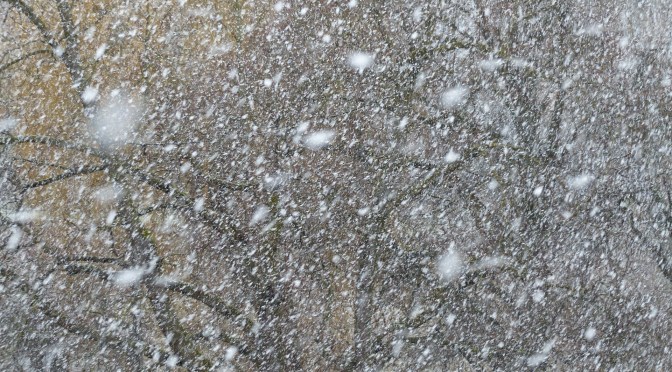 Opinion: Don’t Risk Your Life to Get to Class