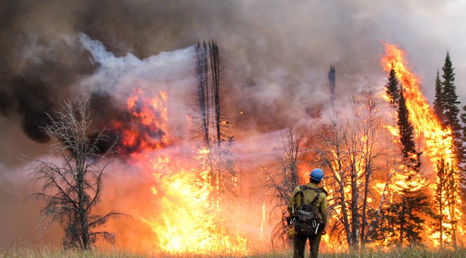 The Unforgettable 2017 Fire Season