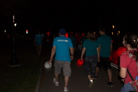 lightthenightsurvivor