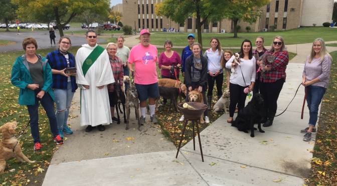 St. Francis Week Recap and Upcoming Franciscan Events